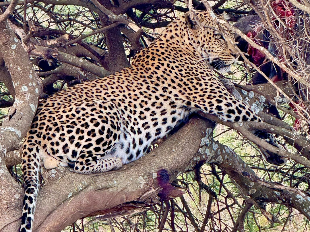 Ratpanat Luxury & Adventure-瓦拉杜利德必去景点