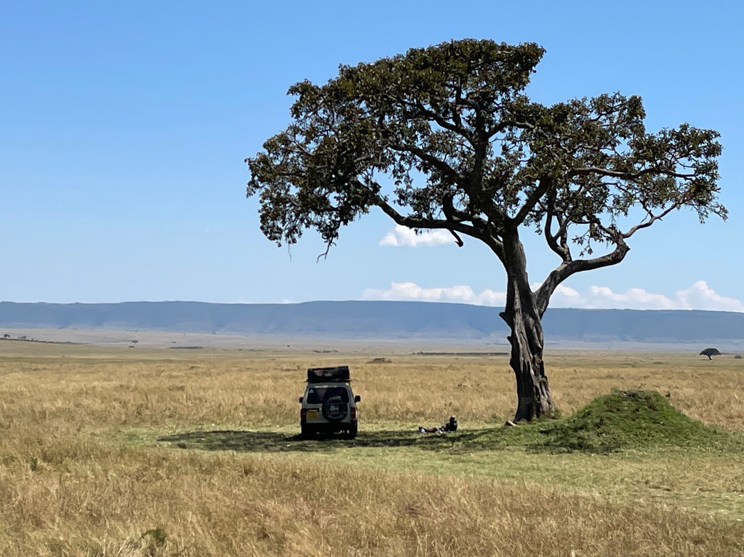 Mega Wild Safaris-坎帕拉必去景点