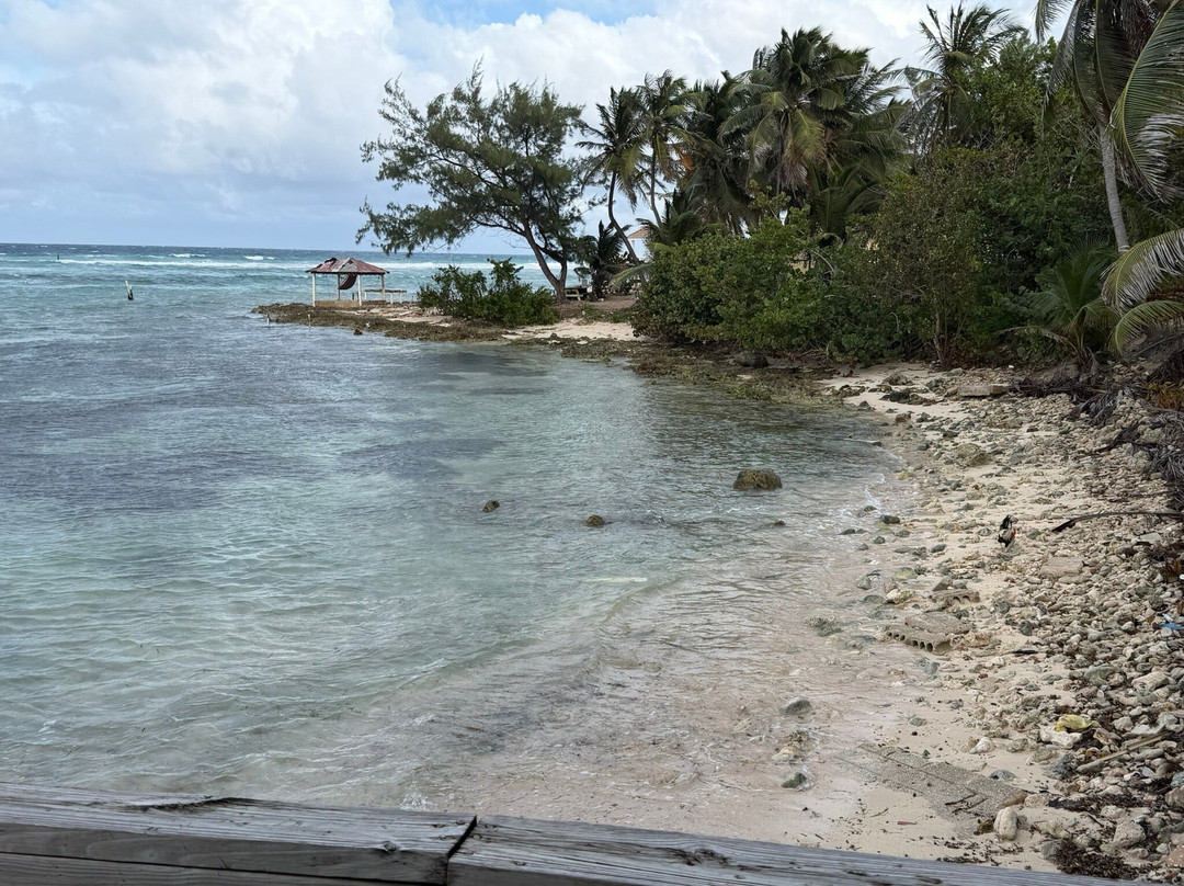 Joe Tourist Outdoor Adventures-乔治城必去景点