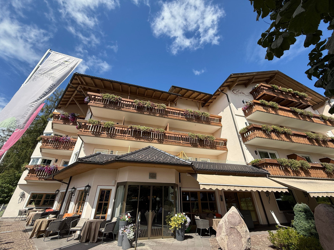 Erica - Wellness & Vitalhotel主图