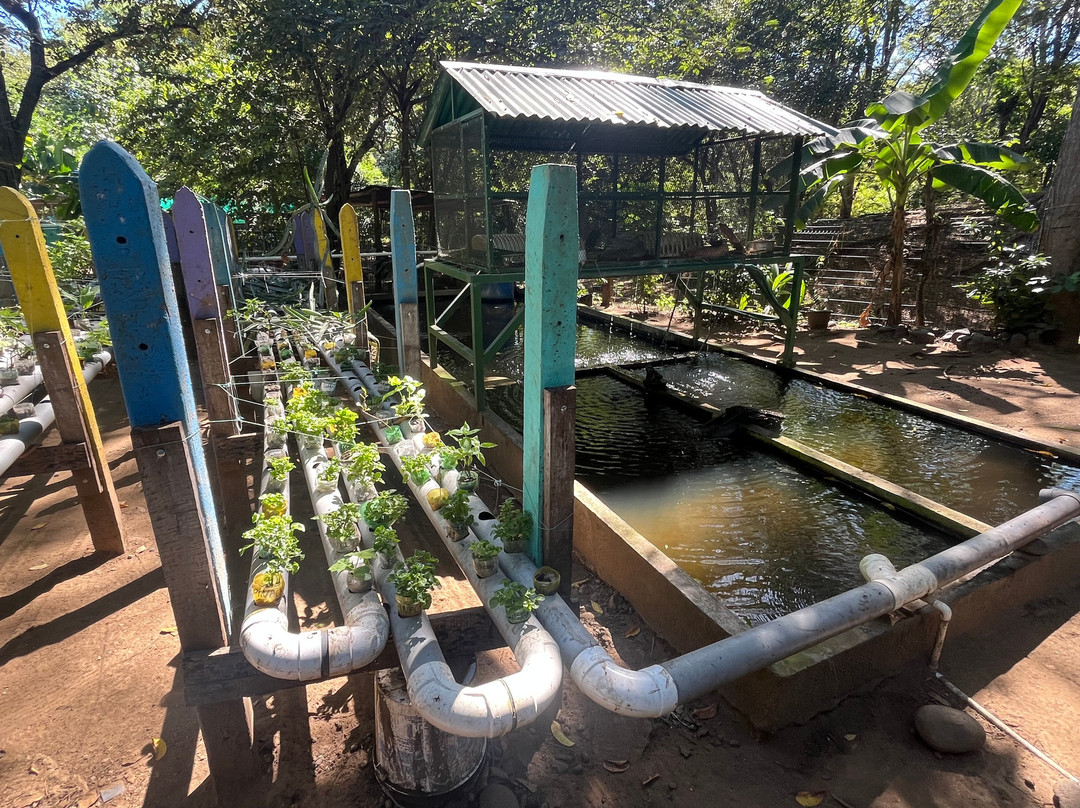 The Monkey Farm-Playa Ocotal必去景点