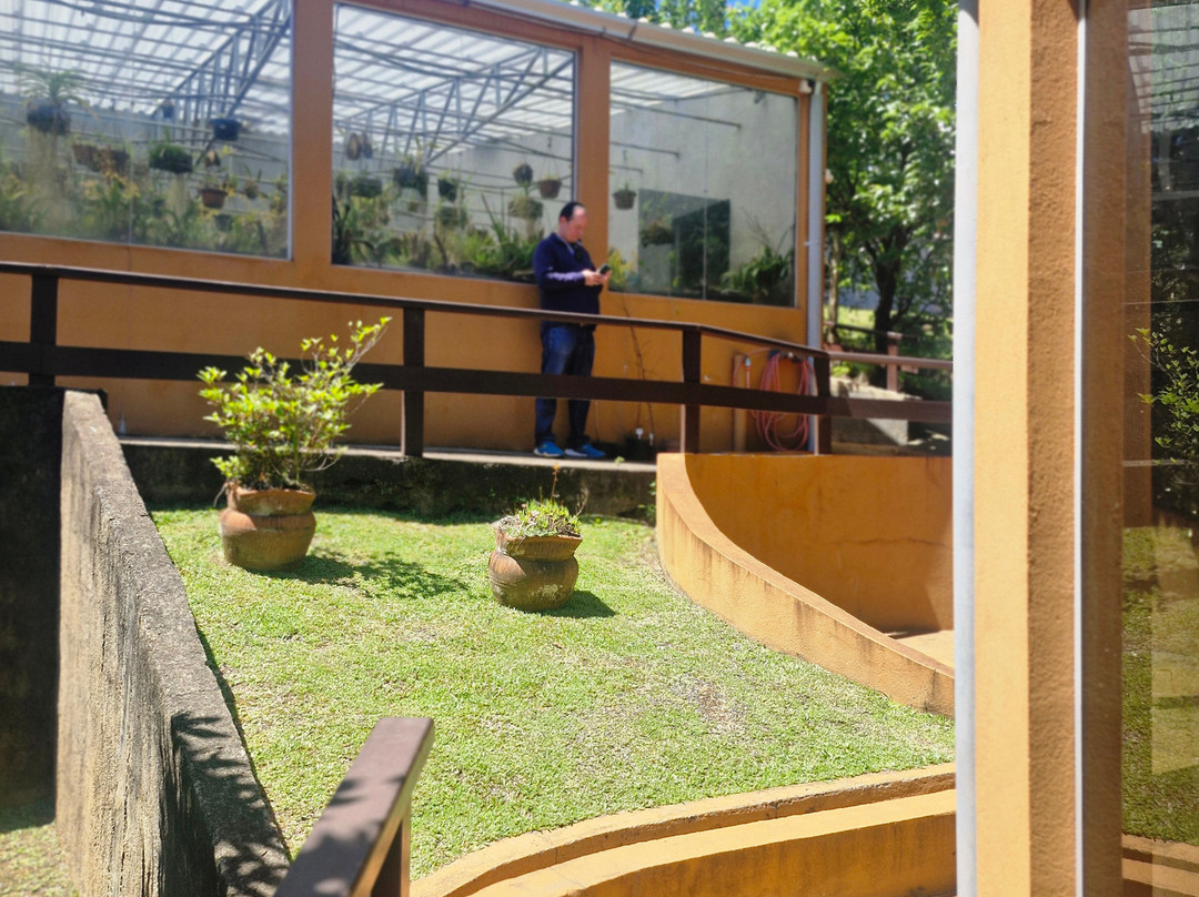 Orquidário MV-蒙特贝尔德必去景点