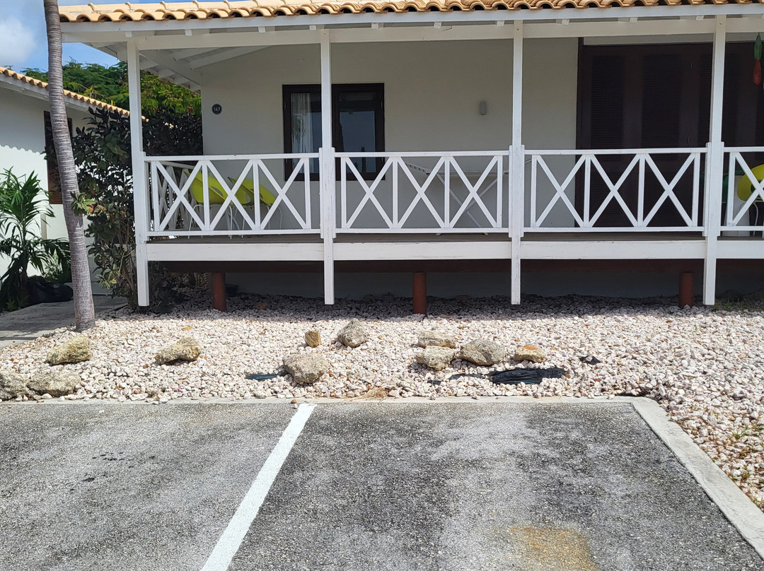 Papagayo Beach Resort主图