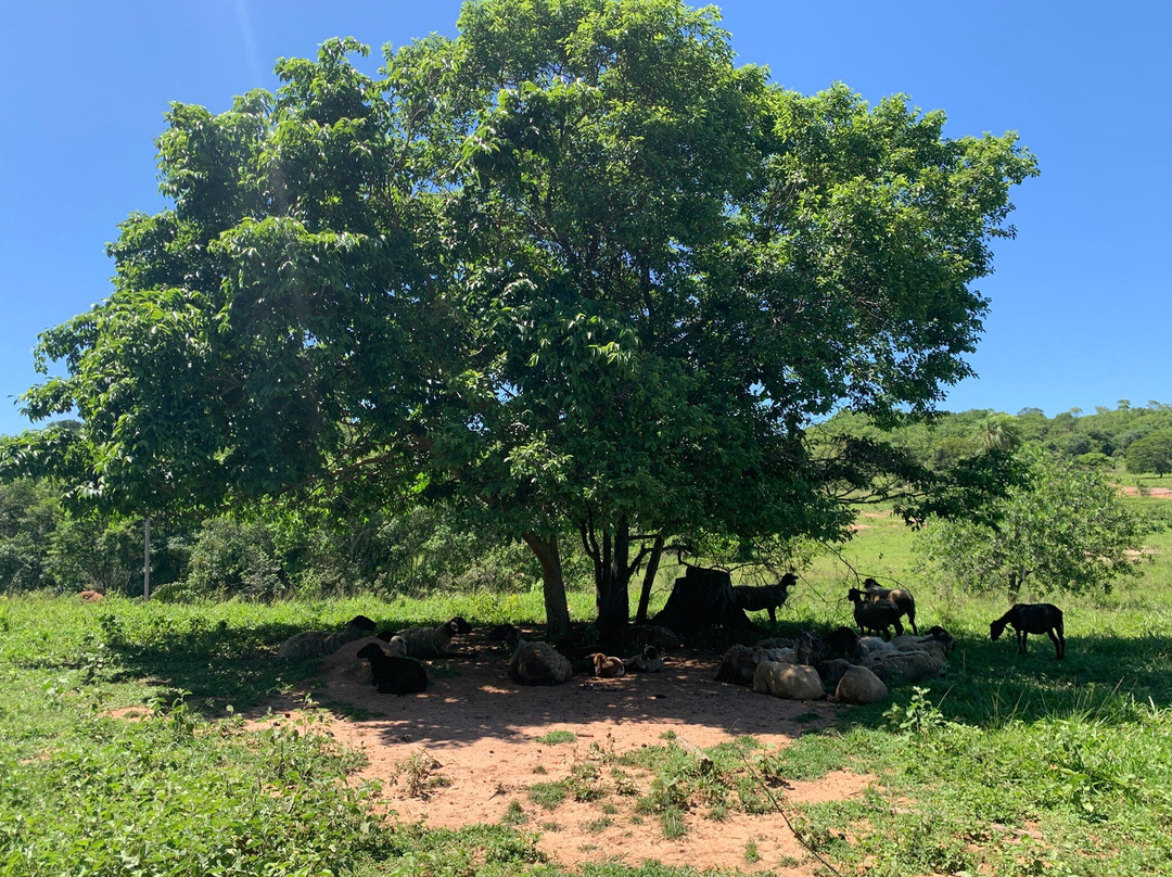 Rio do Peixe-南马托格罗索州必去景点
