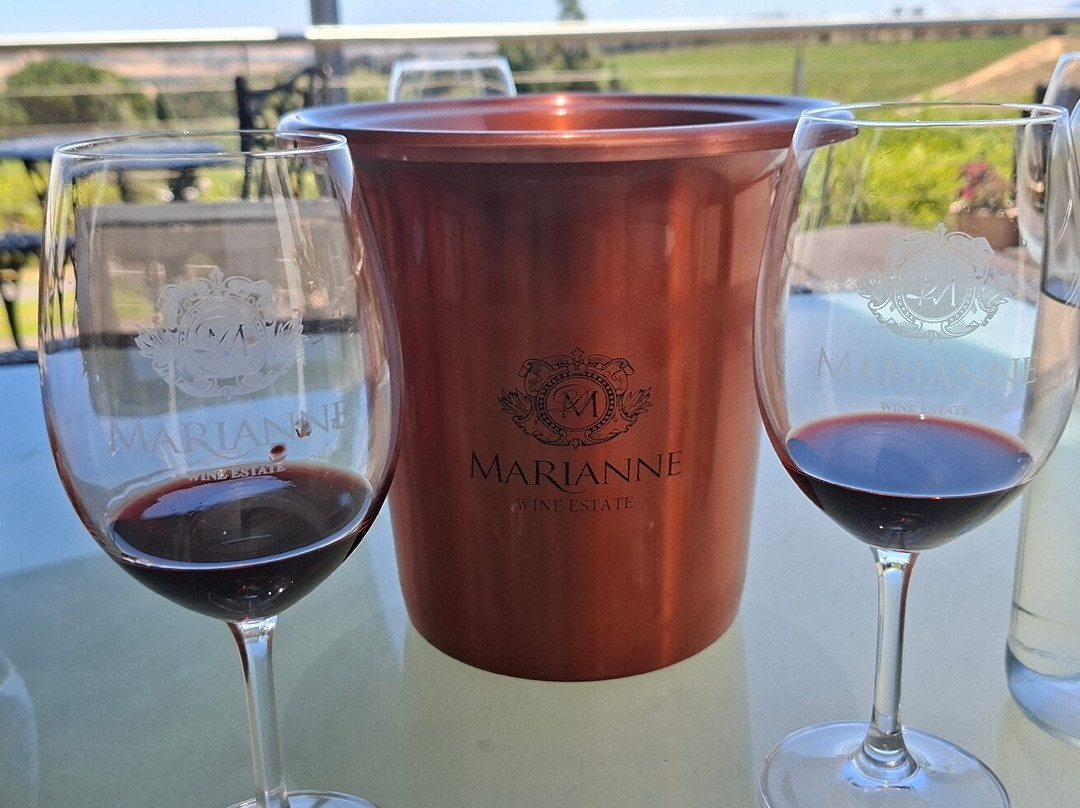 Marianne Wine Estate-斯泰伦博斯必去景点