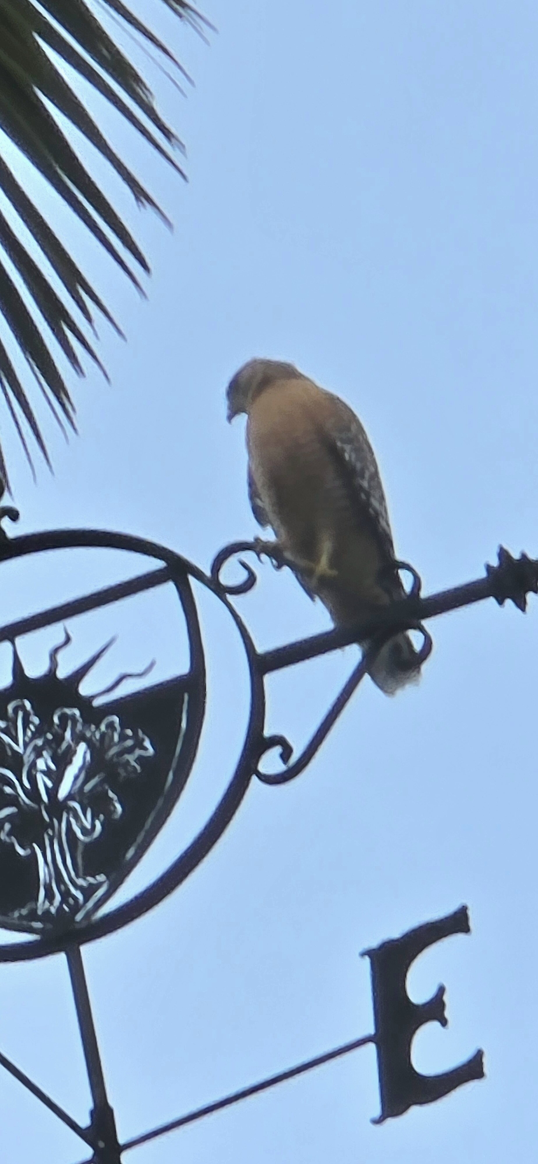 Summerwood Winery & Inn-浴室