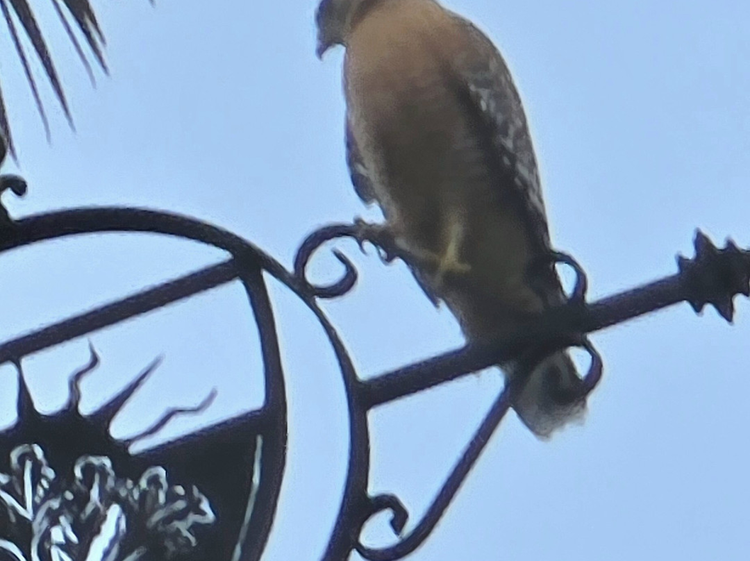 Summerwood Winery & Inn主图