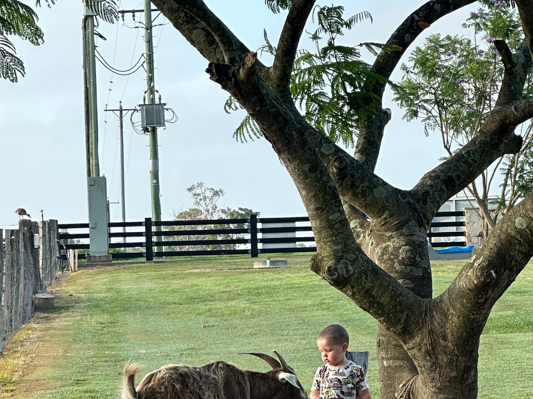 Splitters Farm-邦德堡必去景点