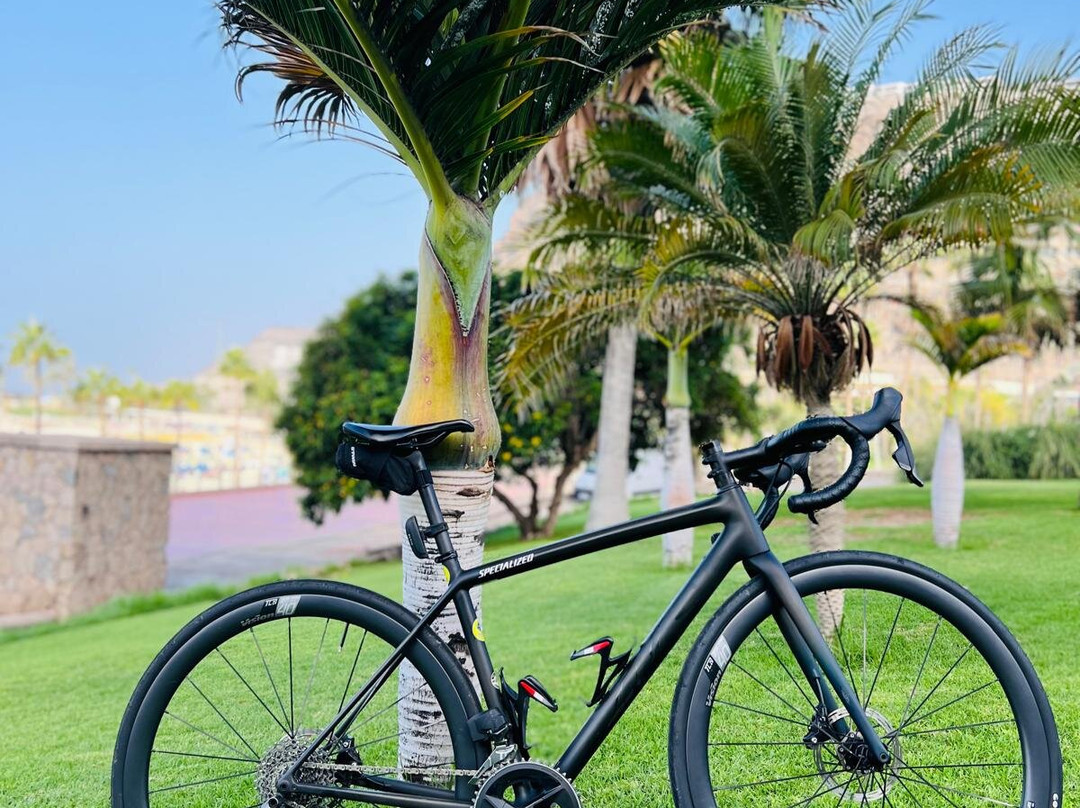 Rent Bike Playa Meloneras-Meloneras必去景点