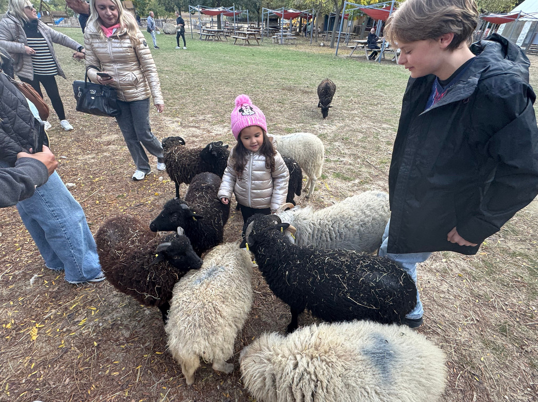 La Ferme du Dolmen-Le Pouget必去景点
