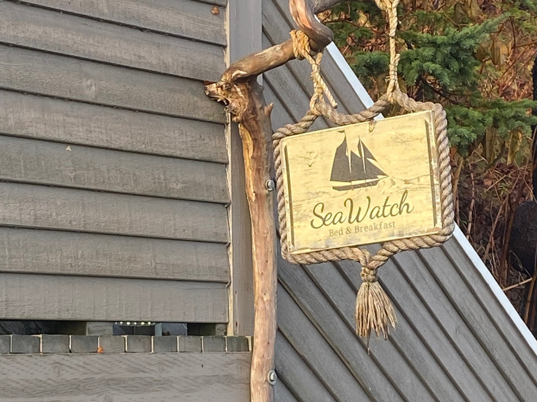 望海住宿加早餐旅馆主图