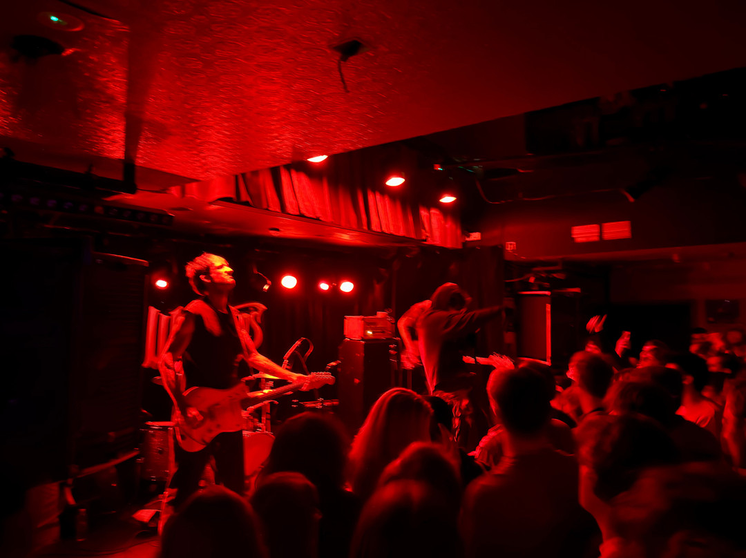 Whelan's-都柏林必去景点