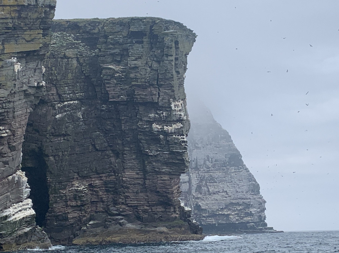 Shetland Seabird Tours - The Noss Boat-Lerwick必去景点