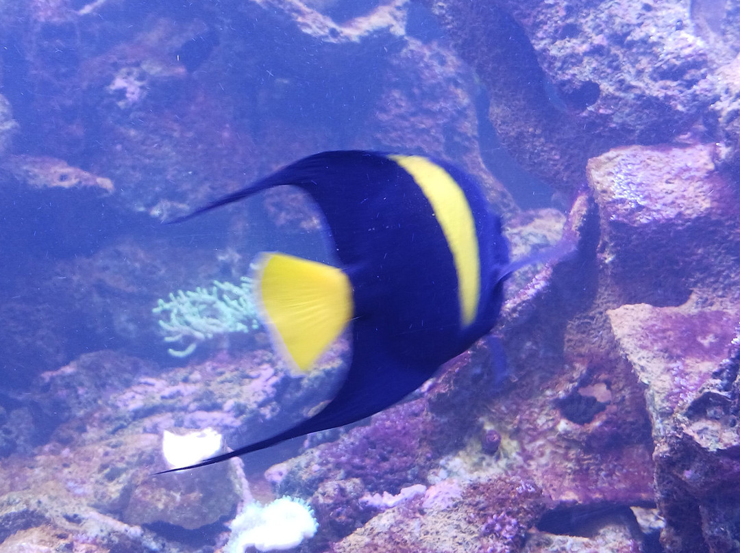 Lake Erie Nature & Science Center-Bay Village必去景点