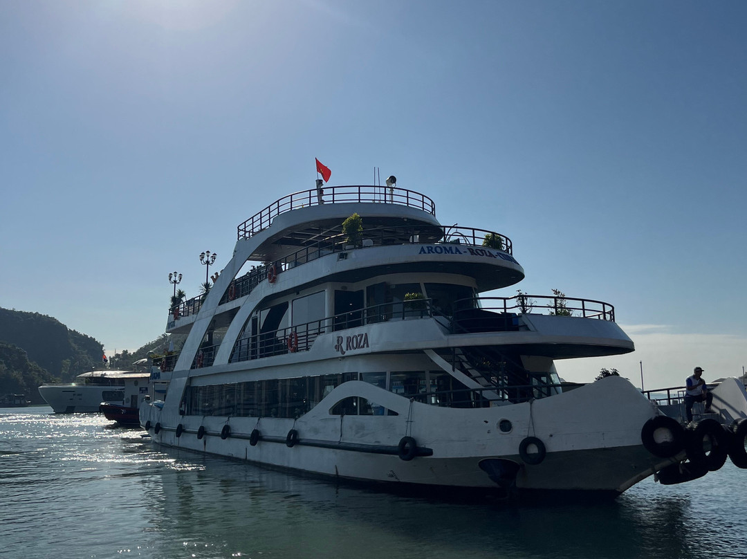 Aroma Viet Nam Travel-Cat Ba Town必去景点