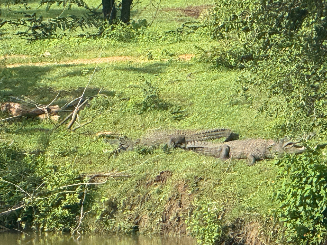 Excellent Lanka With Madu-卡图纳耶克必去景点