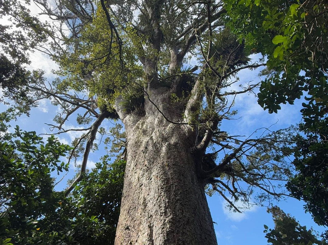 Nature & Nosh Tours-汉密尔顿必去景点