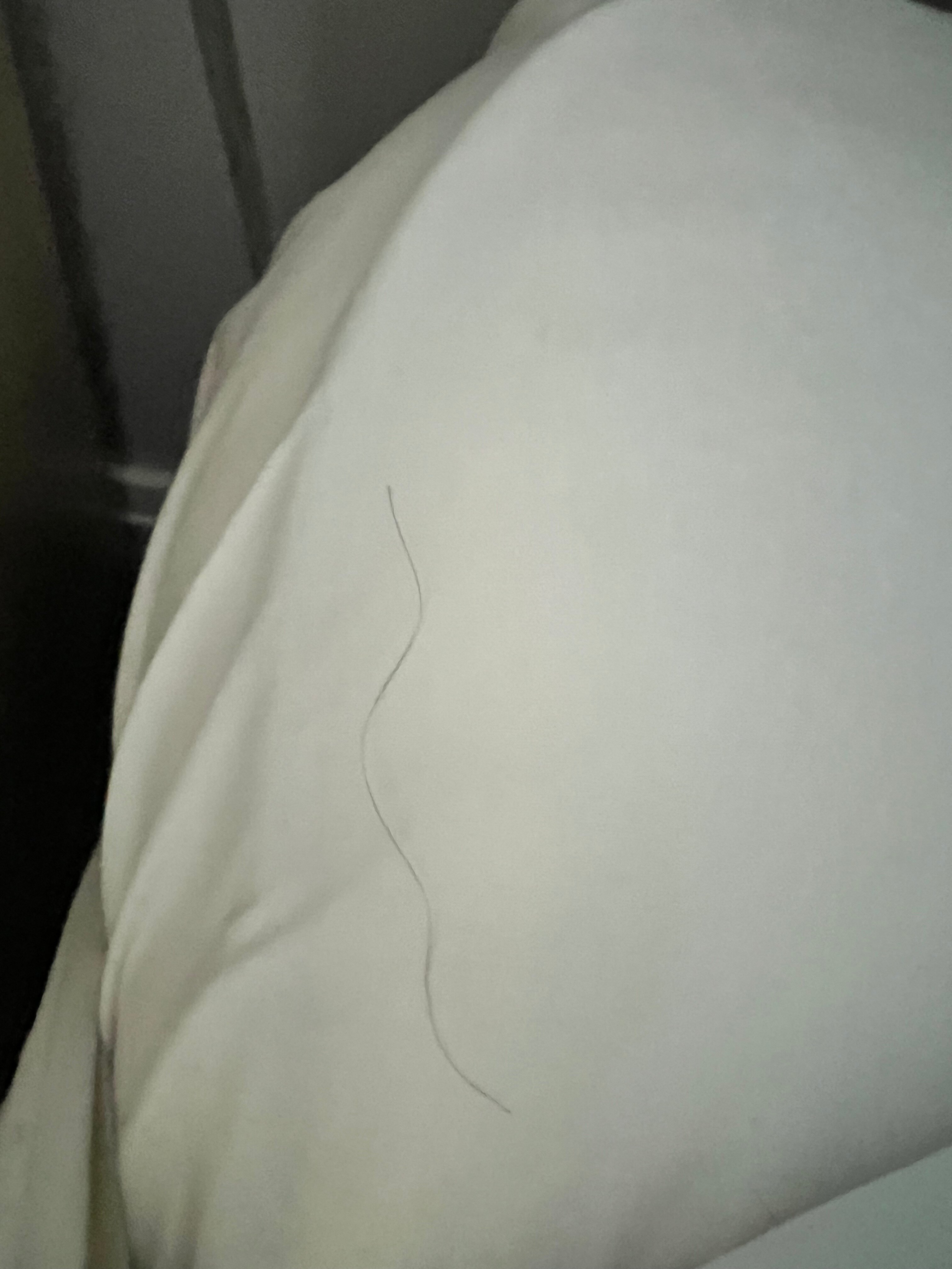 马尔文酒店-官方