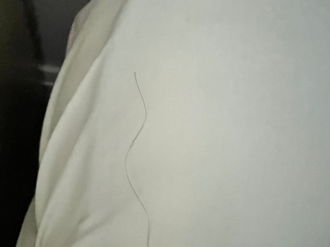 马尔文酒店主图