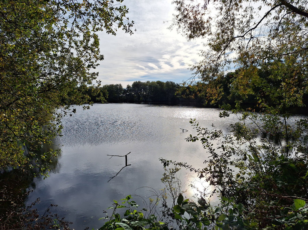 North Cave Wetlands Nature Reserve-Brough必去景点