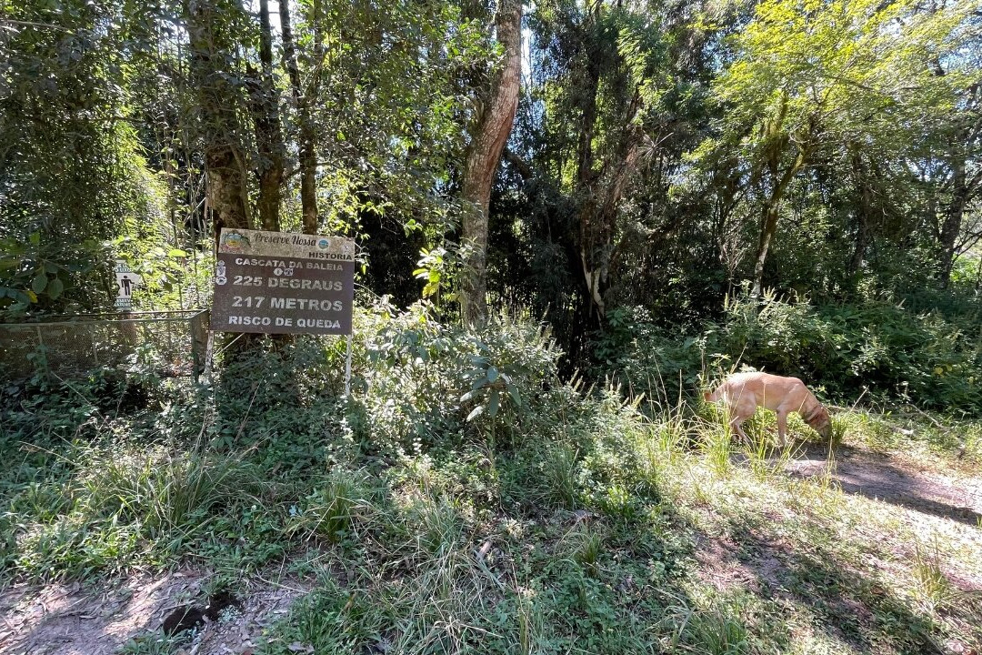 Cascata da Baleia-Ilopolis必去景点