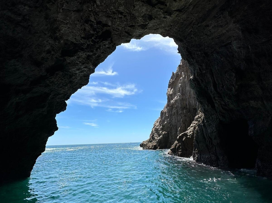 Mercury Bay Discoveries - River & Waterways Cruise-Ferry Landing必去景点