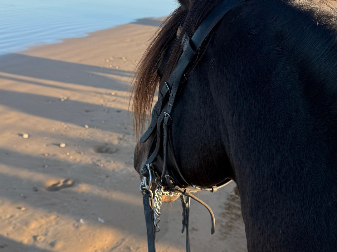 Cheval Essaouira-索维拉必去景点