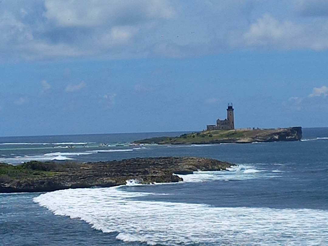 Sud Sauvage Adventure-Surinam必去景点