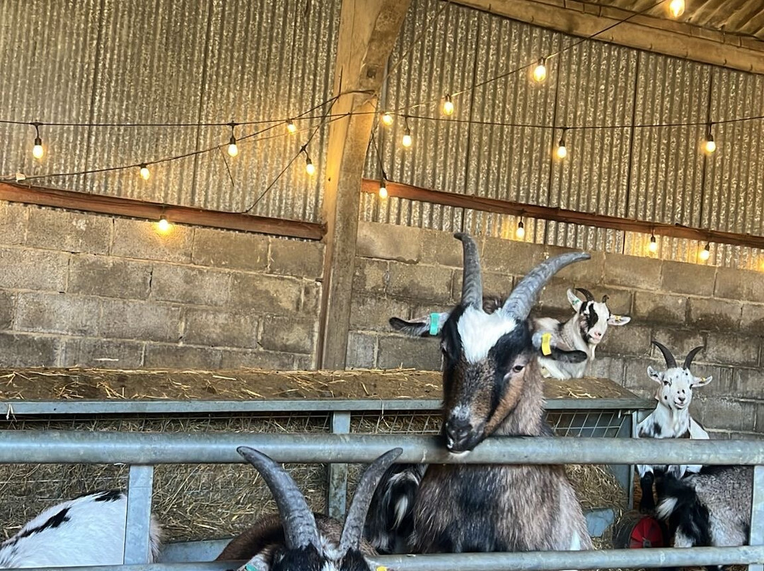 Thrift Farm-Whaddon必去景点