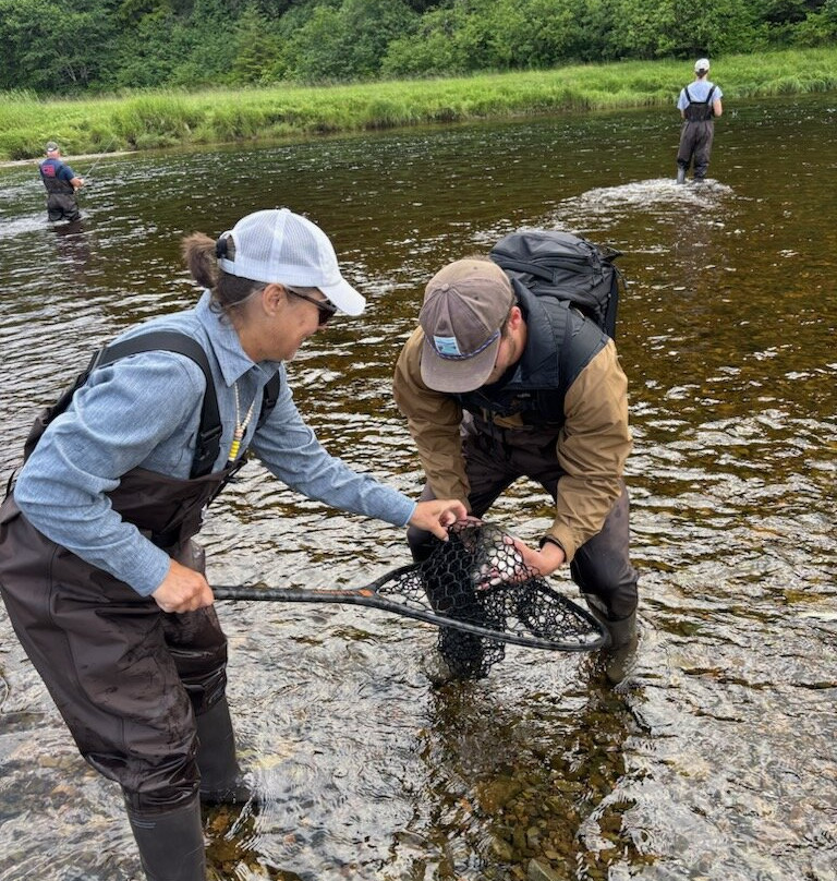 Natventure Tours-古斯塔夫斯必去景点