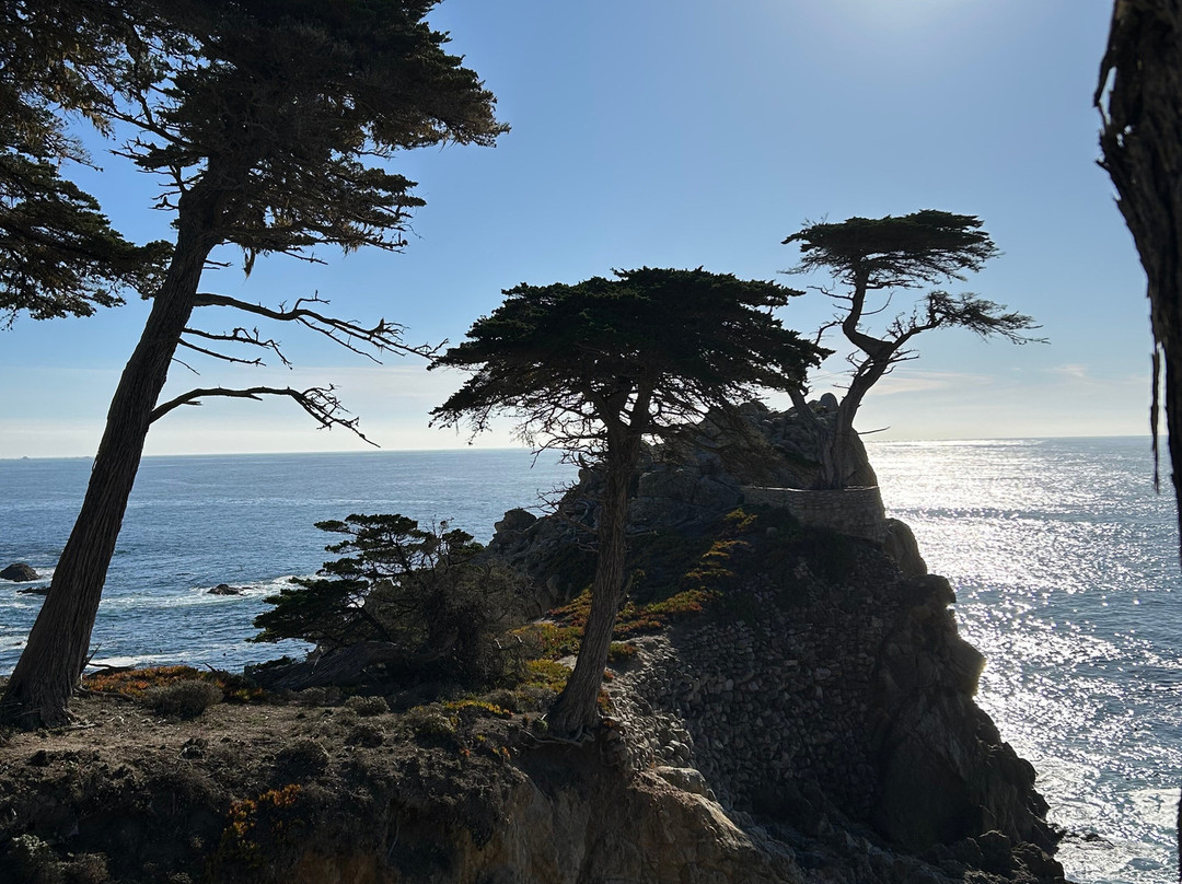 City Tours Usa-纽约市必去景点