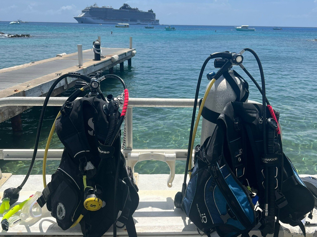 Living The Dream Divers-七哩滩必去景点