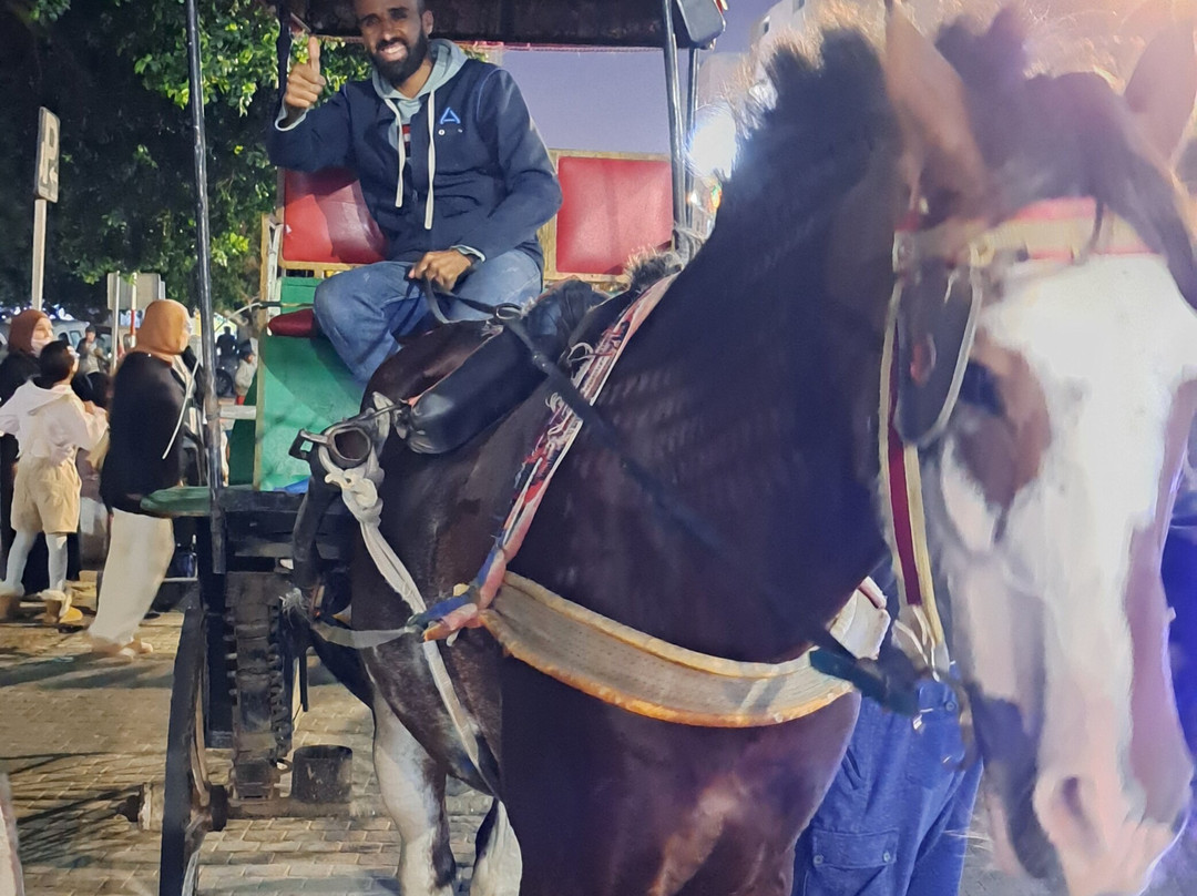 Taroudant Caleche Carriage Tours-塔鲁丹特必去景点