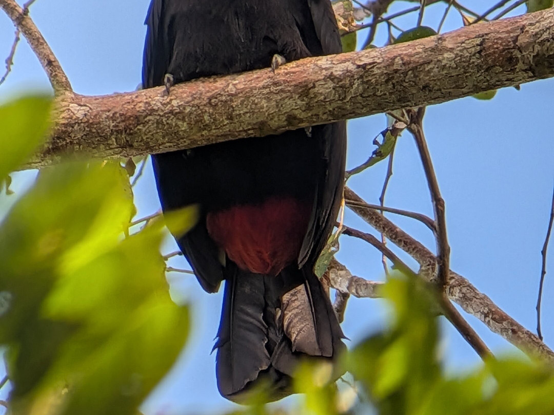 Picolina Tours-德雷克湾必去景点