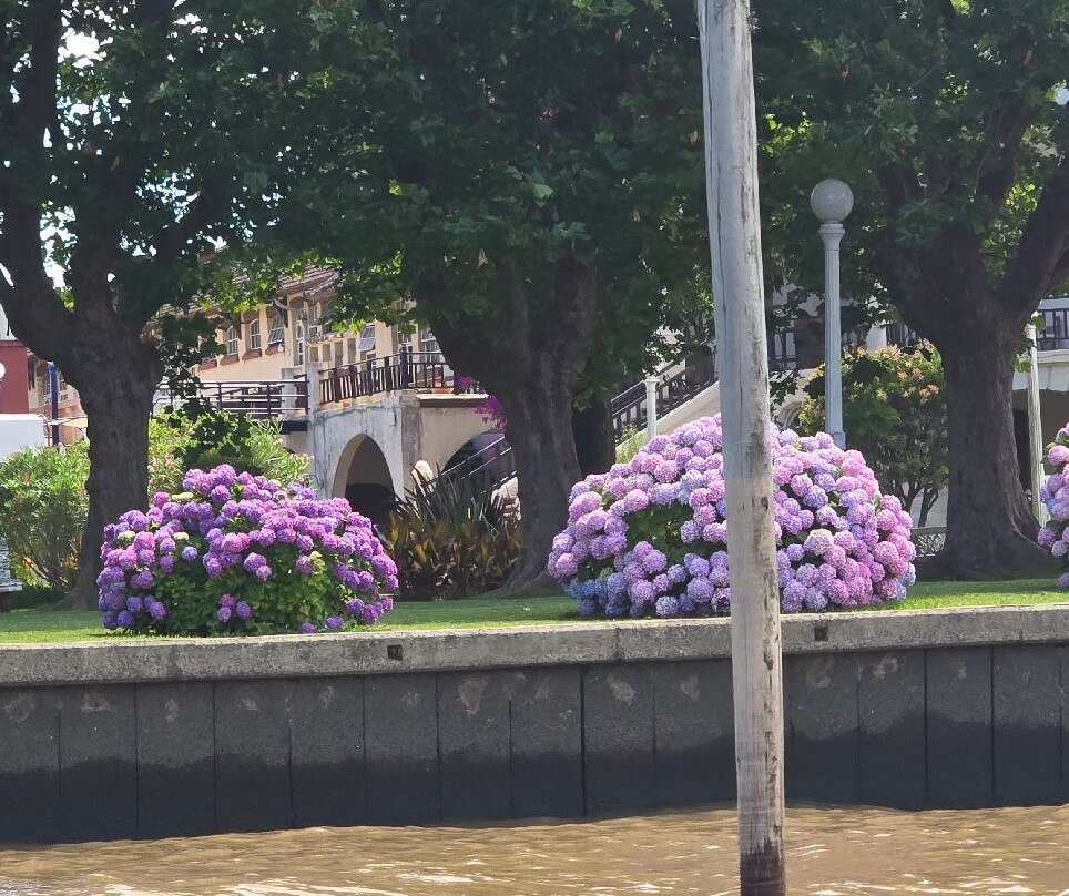 Delta El Tigre-蒂格雷必去景点