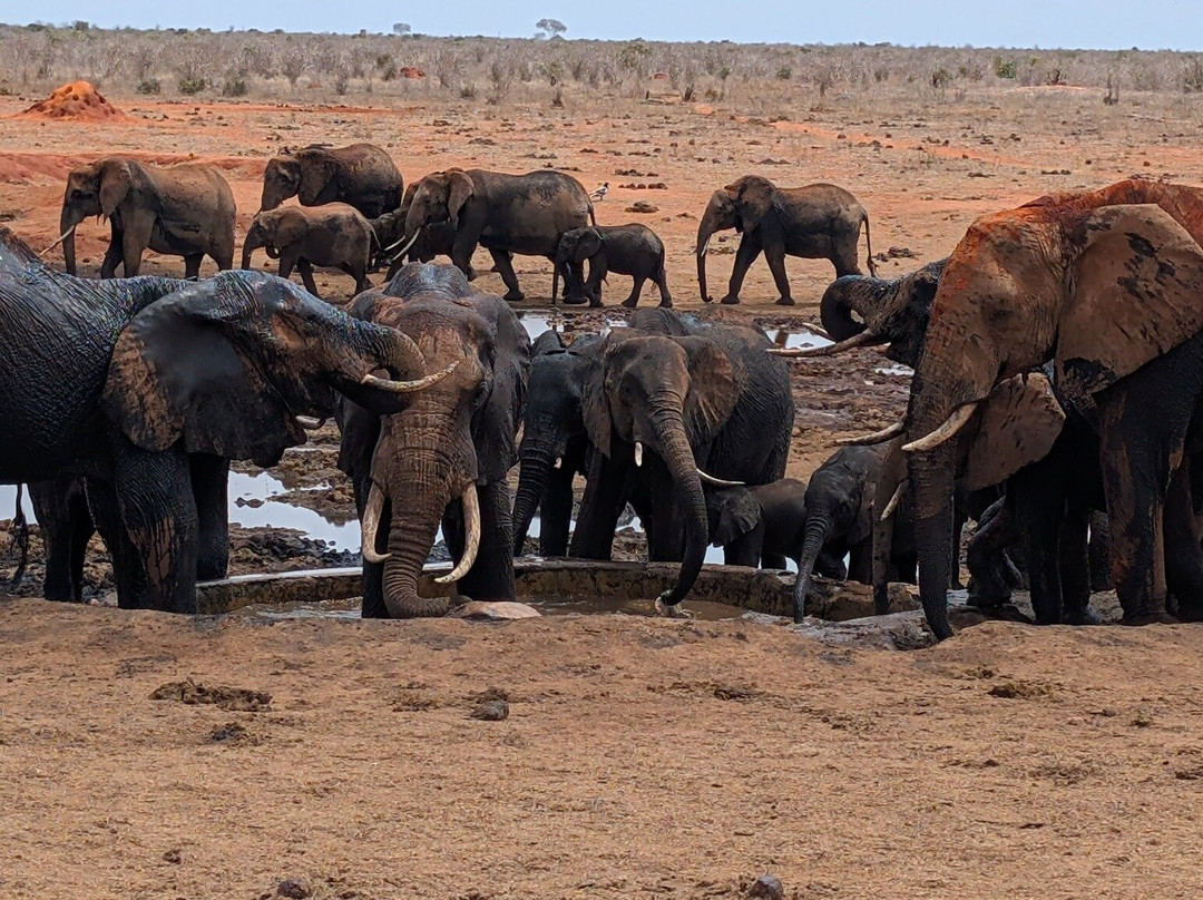 Polki W Podróży-比亚韦斯托克必去景点