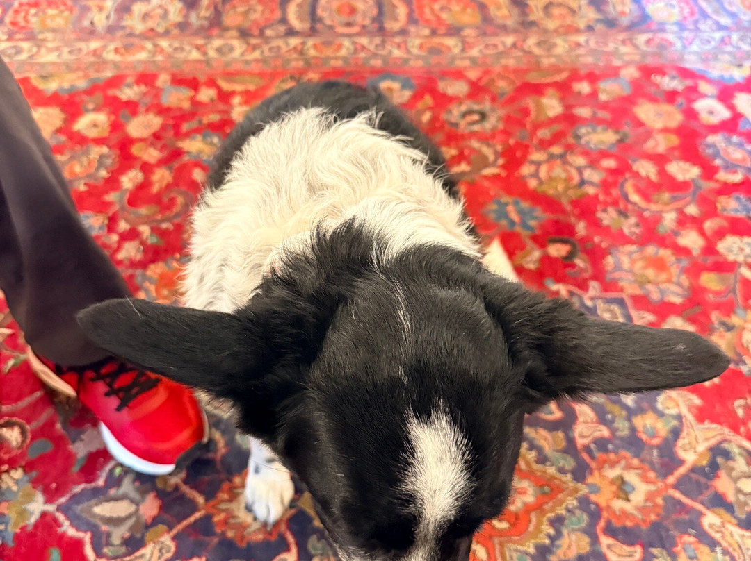 Marceline Vineyards-Mount Crawford必去景点