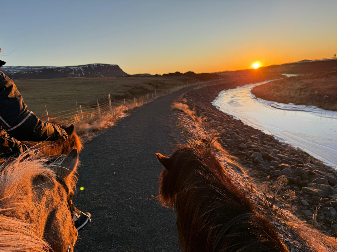 Eldhestar Volcano Horses-Olfus必去景点