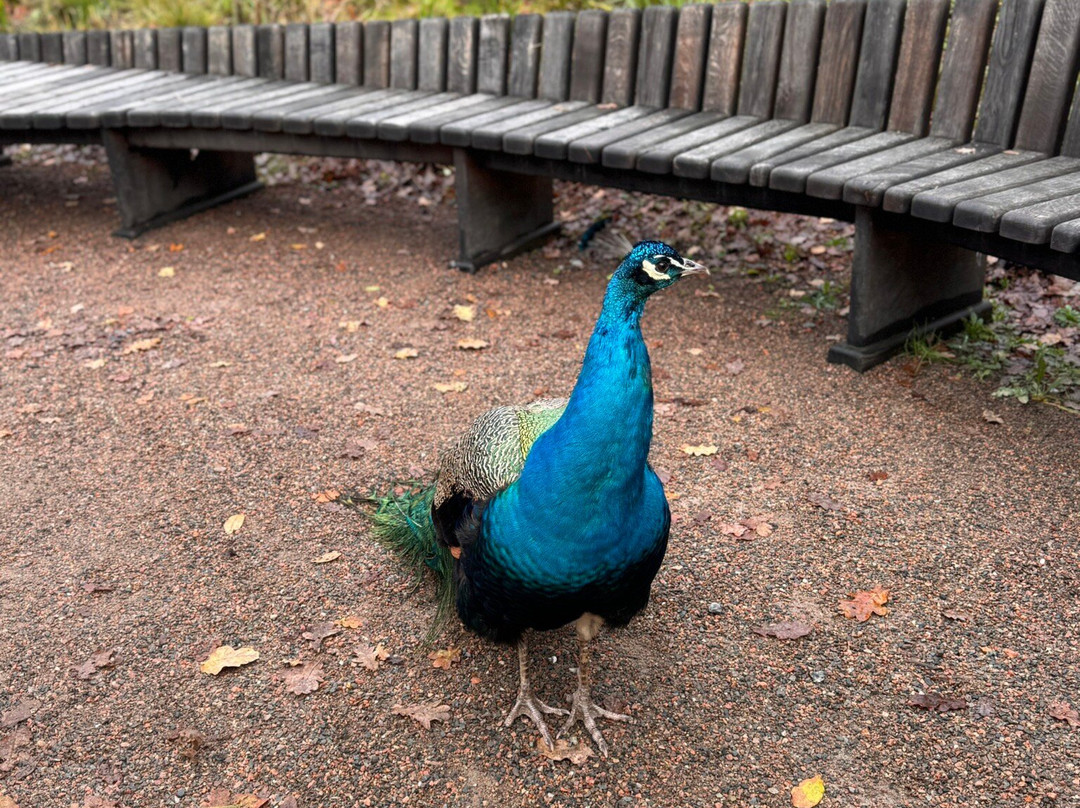 Sheffield Park And Garden-阿克菲尔德必去景点