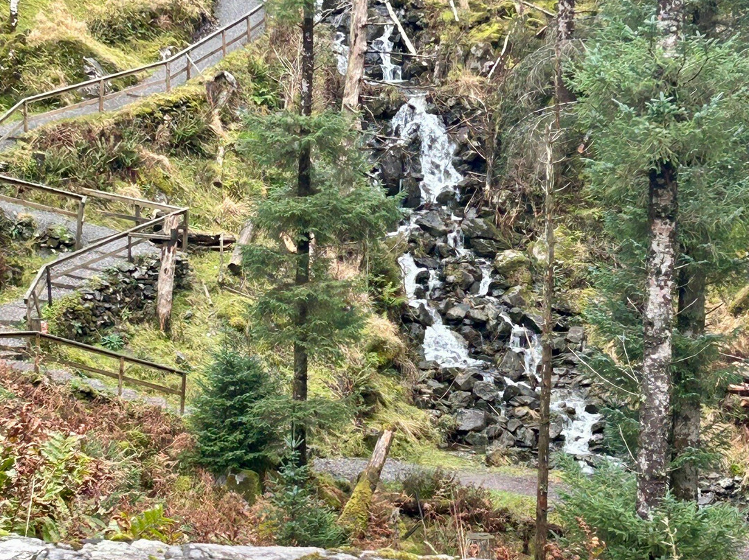 高登巴拉公园-Gougane Barra必去景点