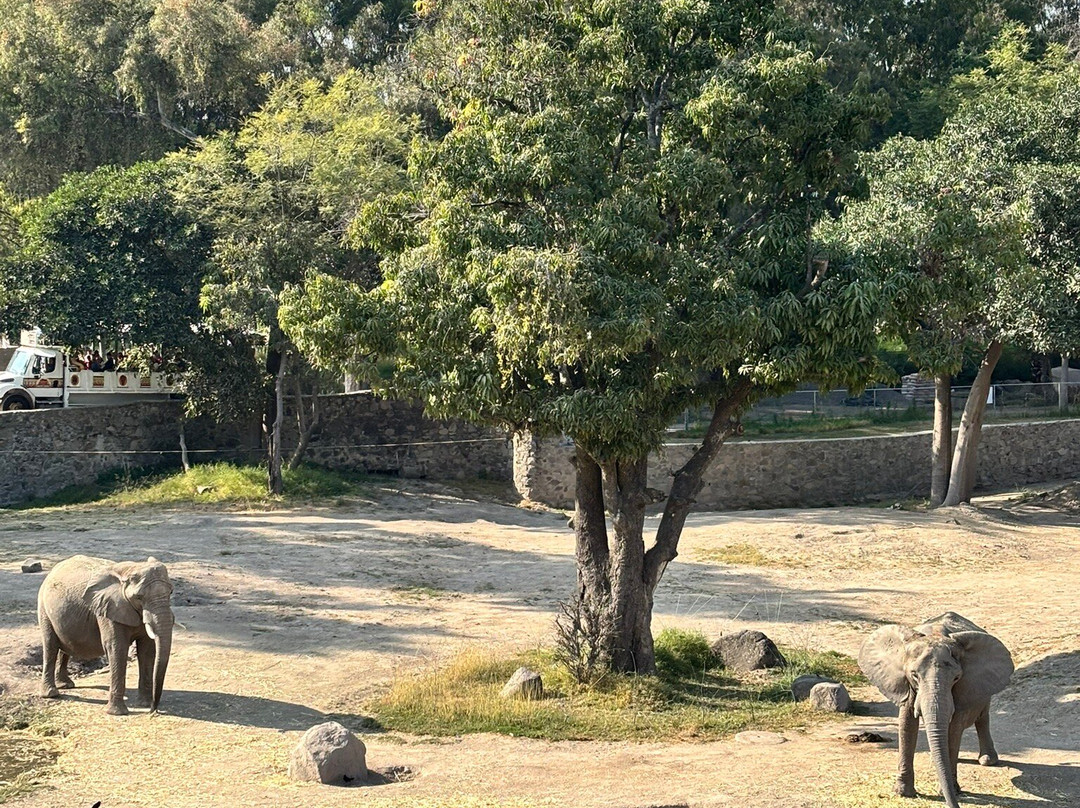 Zoológico Guadalajara-瓜达拉哈拉必去景点