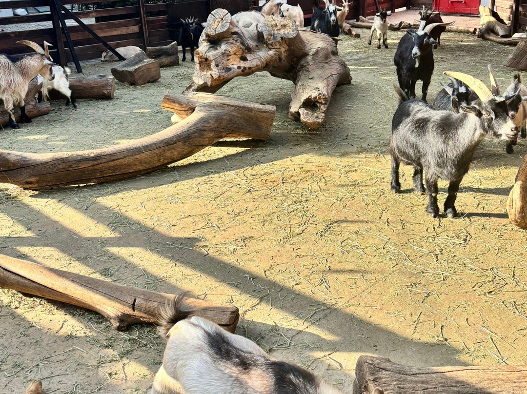 Acuario Michin Guadalajara-瓜达拉哈拉必去景点