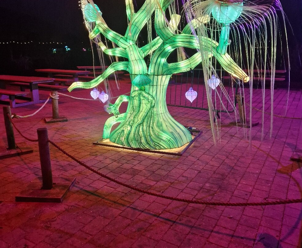 Yorkshire Wildlife Park-Auckley必去景点