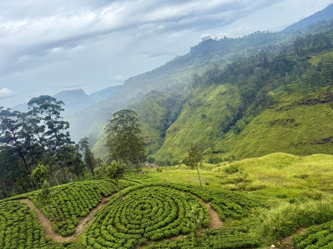 Kandy Tourist Information Center-康提必去景点