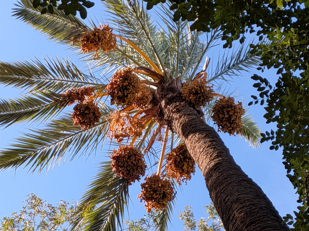 阿塞特‧穆莱‧阿布德斯兰数码公园-马拉喀什必去景点