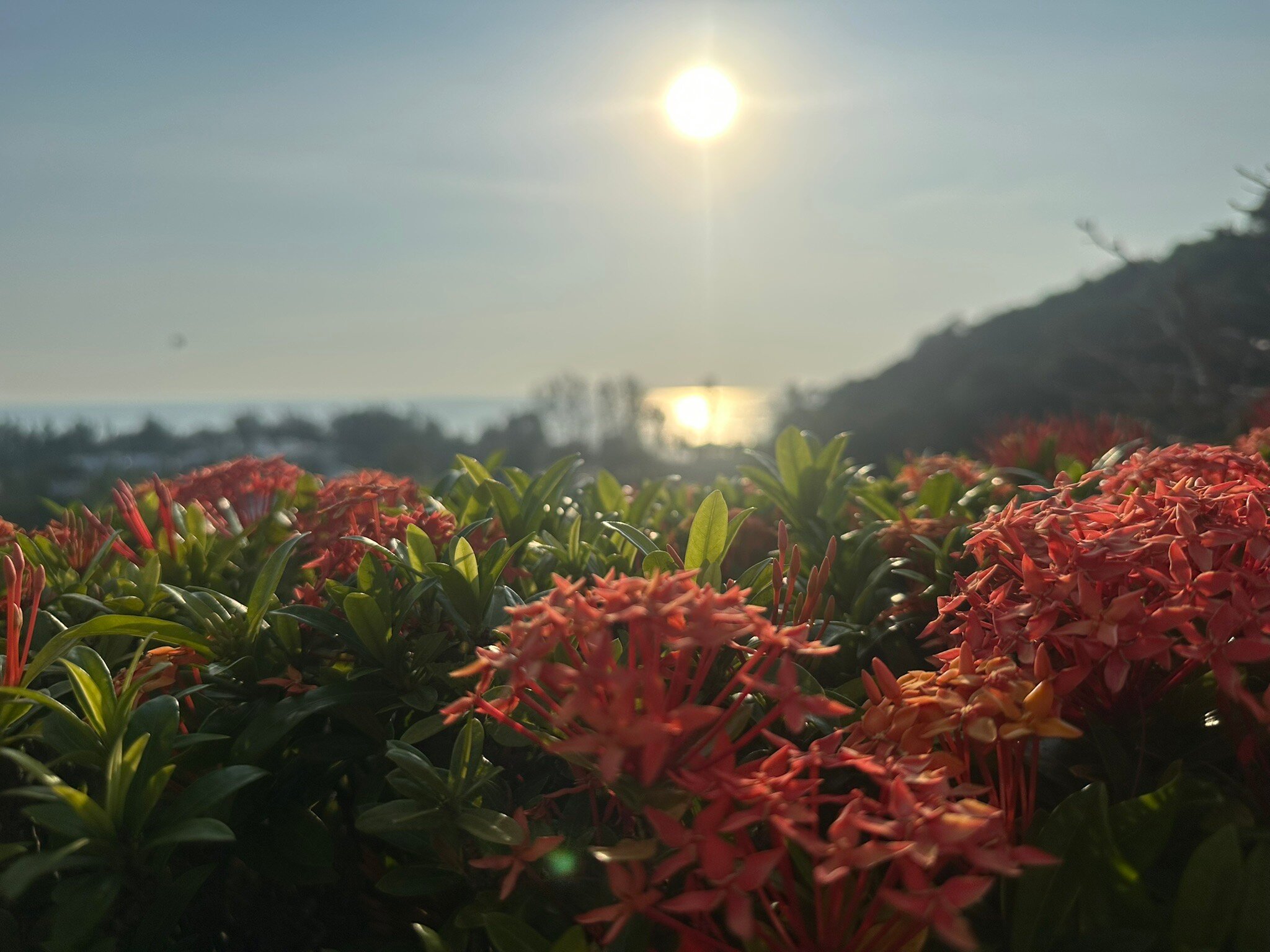 太平洋俱乐部度假村-官方