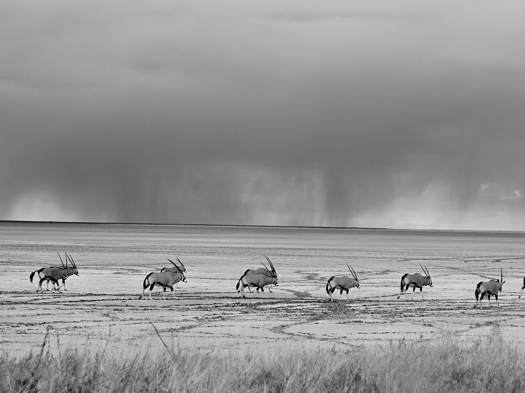 Rare Earth Tours-温德和克必去景点