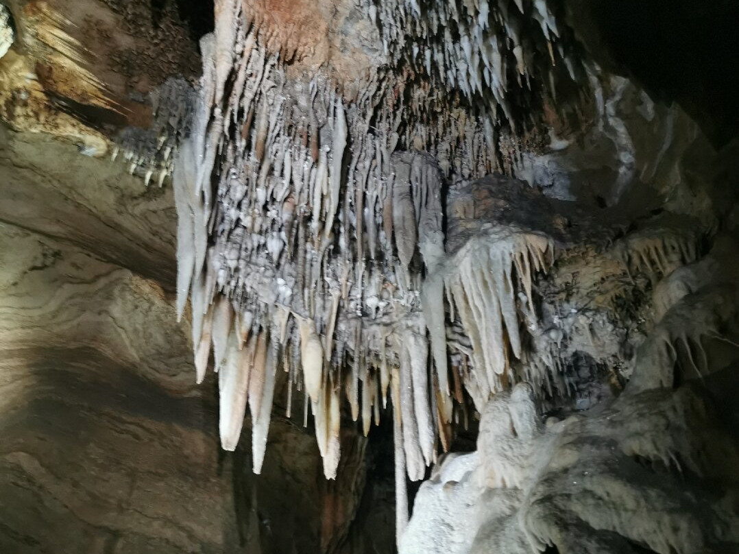 Buchan Caves Reserve-Buchan必去景点