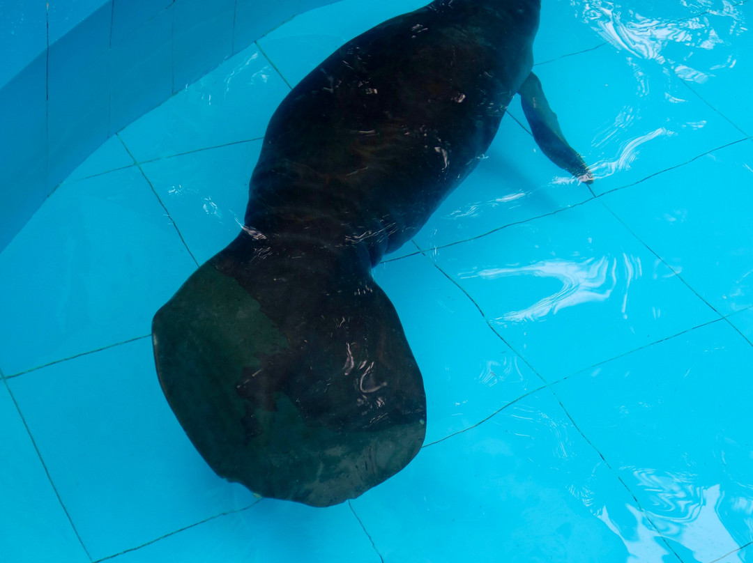 Amazon Rescue Center-伊基托斯必去景点