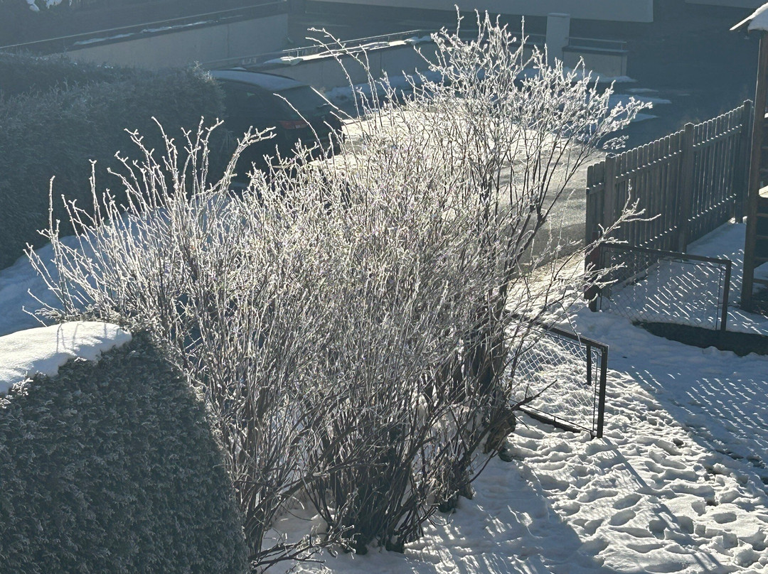 Hotel Bergwelt主图